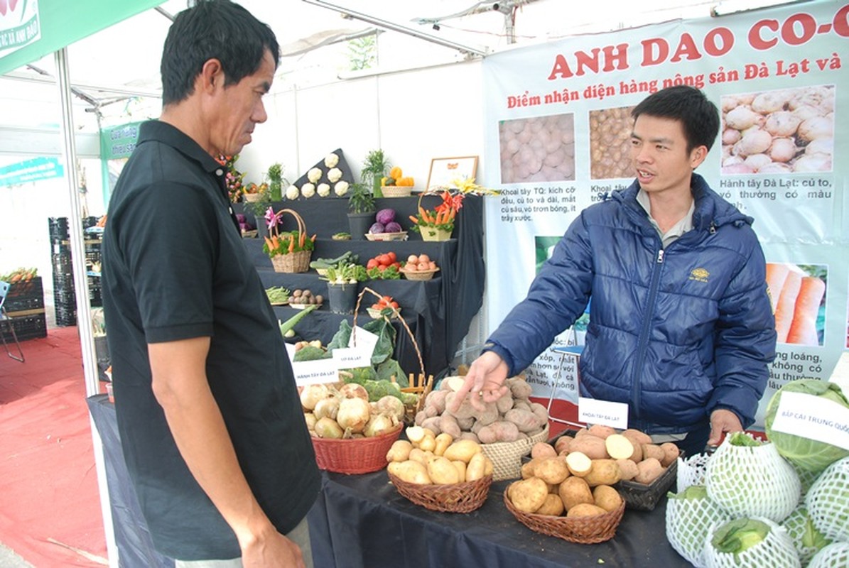 Cach nhan biet rau Trung Quoc rau Da Lat khac nhau the nao-Hinh-7