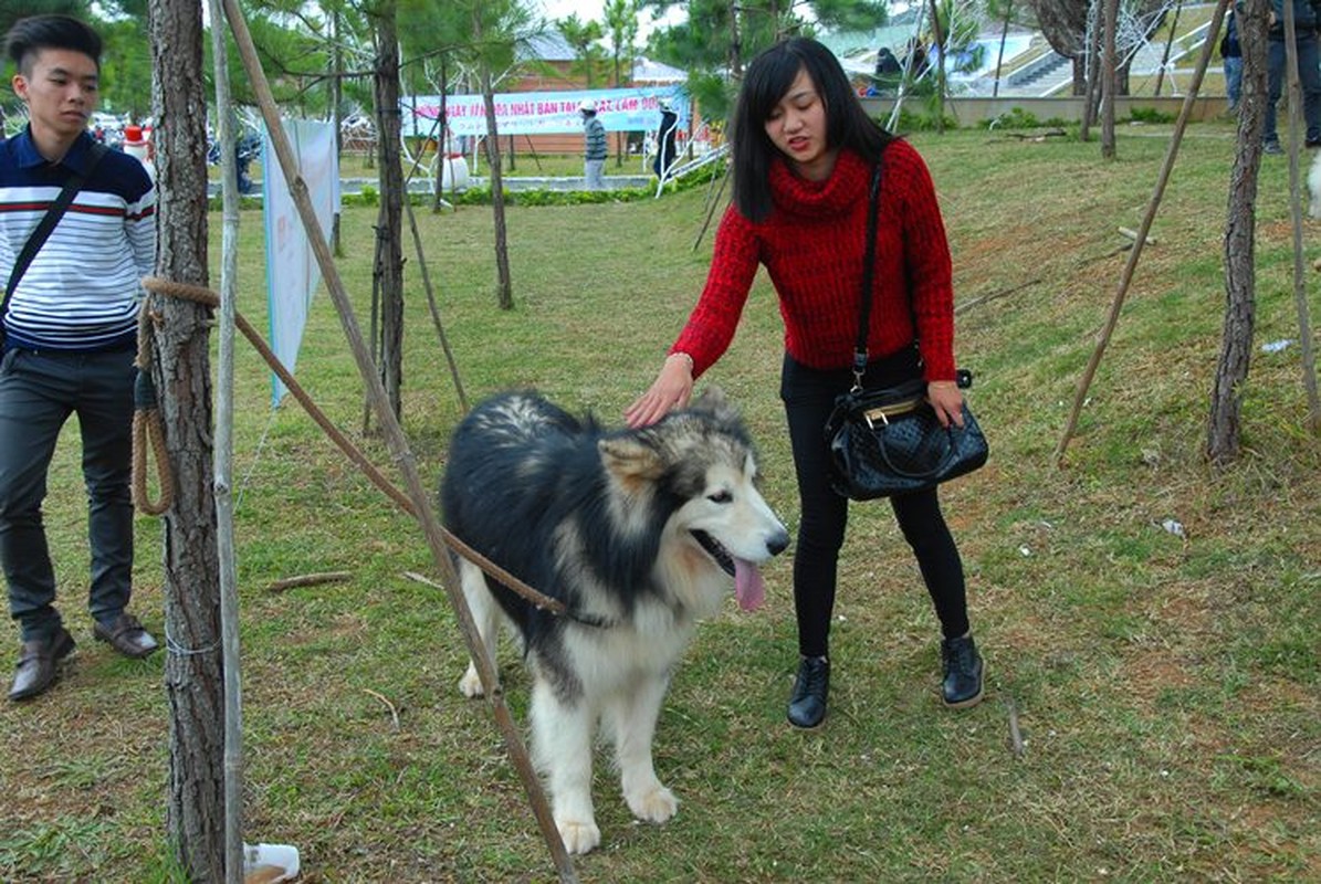 Thu choi cho canh khung 60 kg cua gioi tre Da Lat hinh anh 7