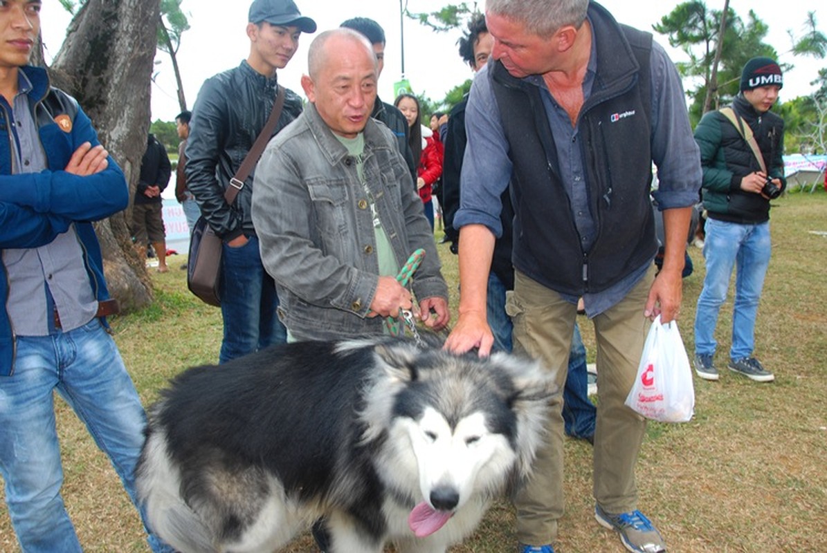 Thu choi cho canh khung 60 kg cua gioi tre Da Lat hinh anh 4