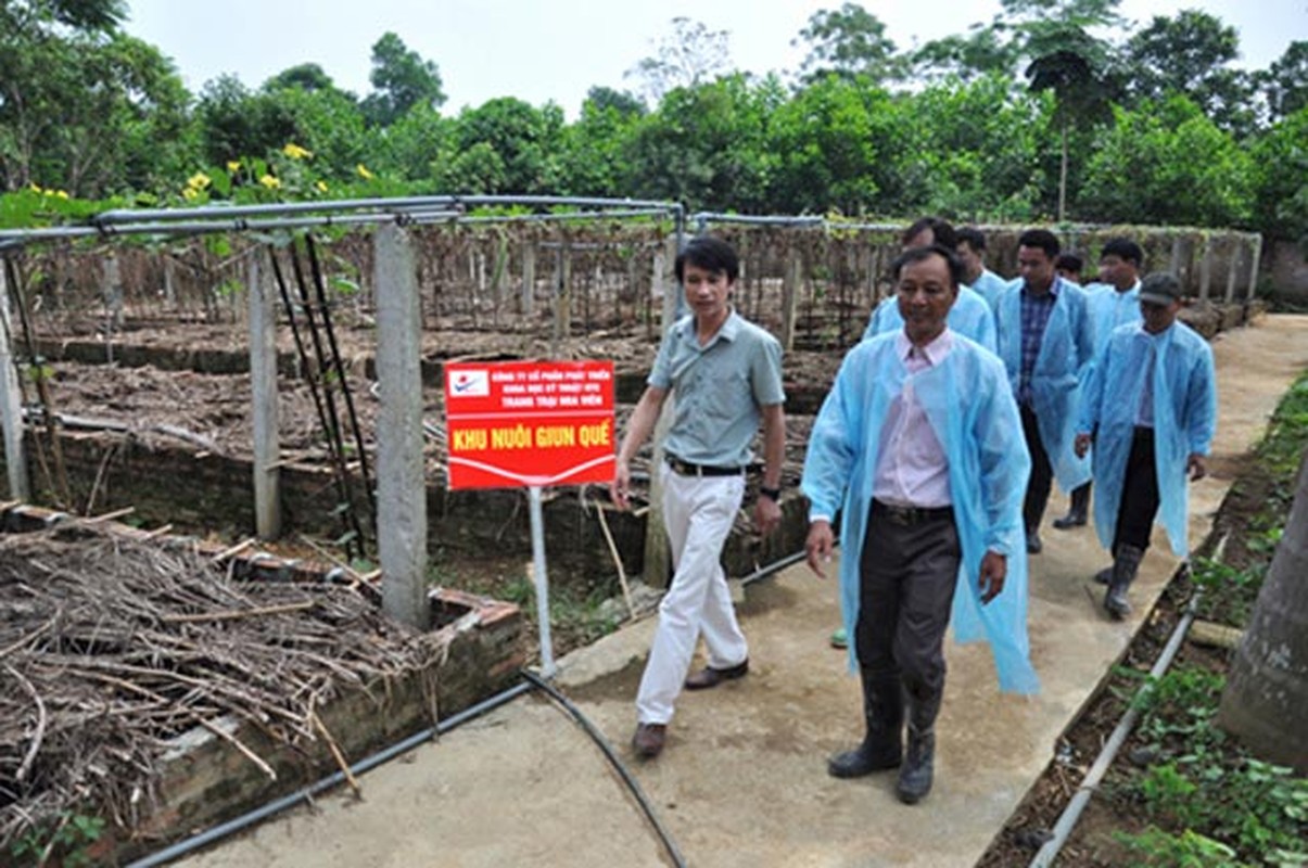 Trang trai nuoi 12.000 lon rung ky di, du ton o Viet Nam-Hinh-6