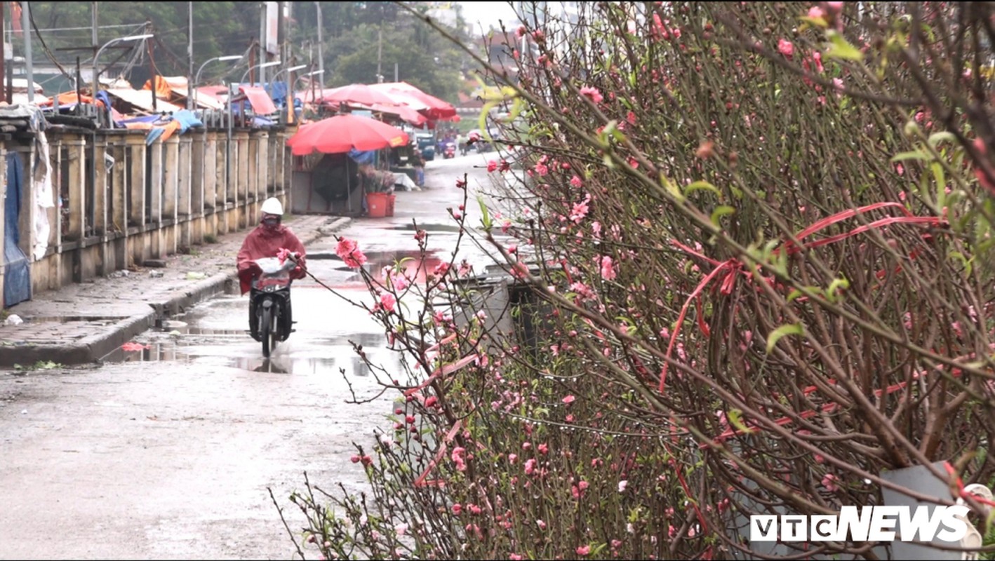 Dao Nhat Tan no som xuong pho, gia 1,2 trieu dong/canh-Hinh-6