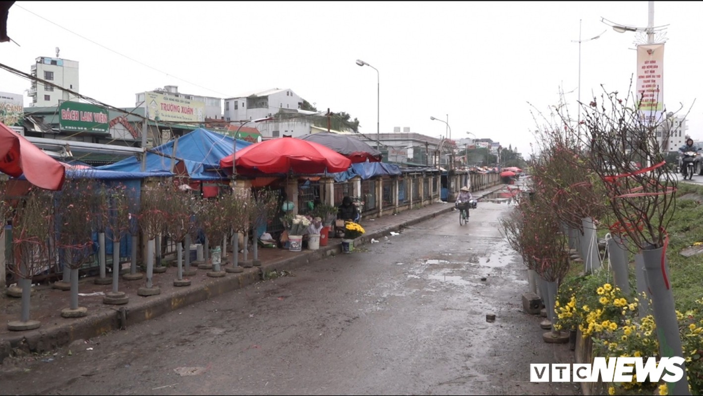 Dao Nhat Tan no som xuong pho, gia 1,2 trieu dong/canh