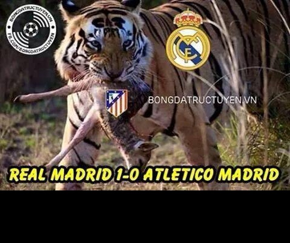 Anh che: MU cho Real Madrid muon ban thang de loai Atletico-Hinh-7