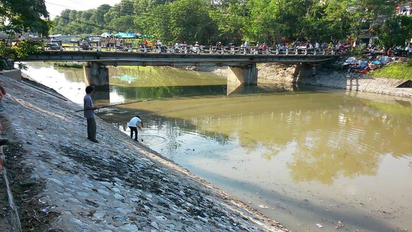 Xem nguoi Ha Noi dua nhau cau ca sau bao-Hinh-3