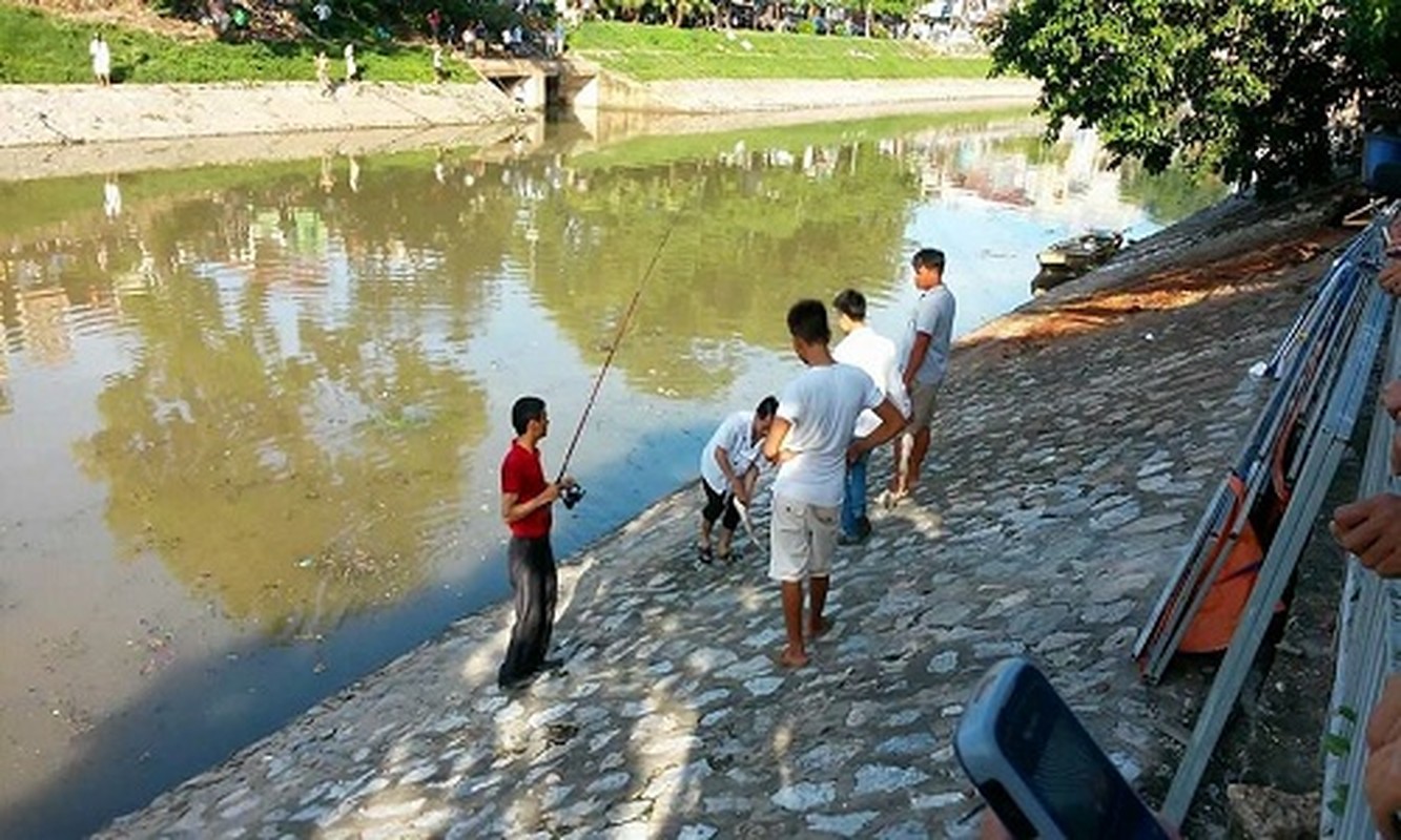 Xem nguoi Ha Noi dua nhau cau ca sau bao