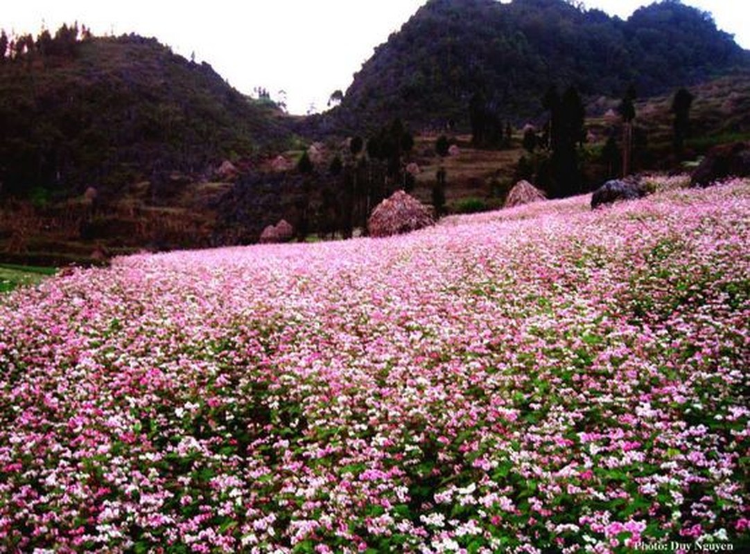 Diem den trong nuoc khong the bo qua trong thang 11-Hinh-11