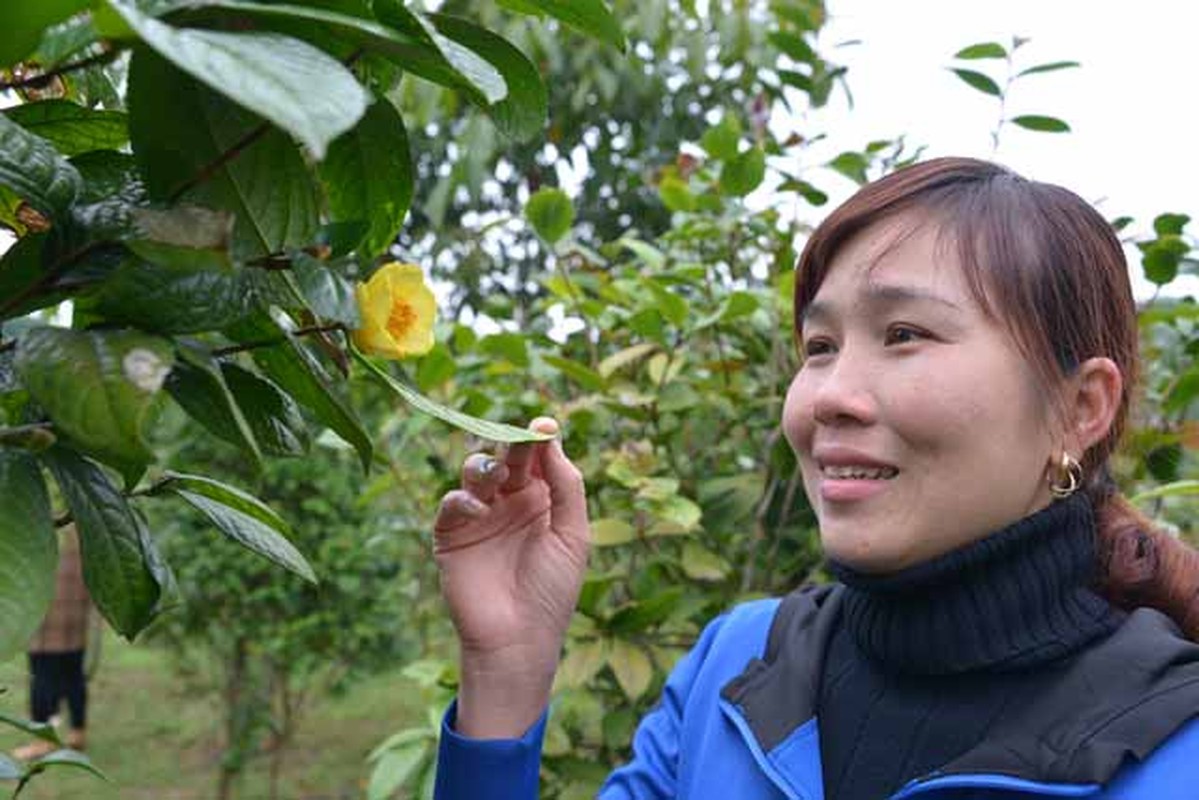 Ngam “than duoc” dat do khoe sac tren huyen vung cao Quang Ninh-Hinh-4