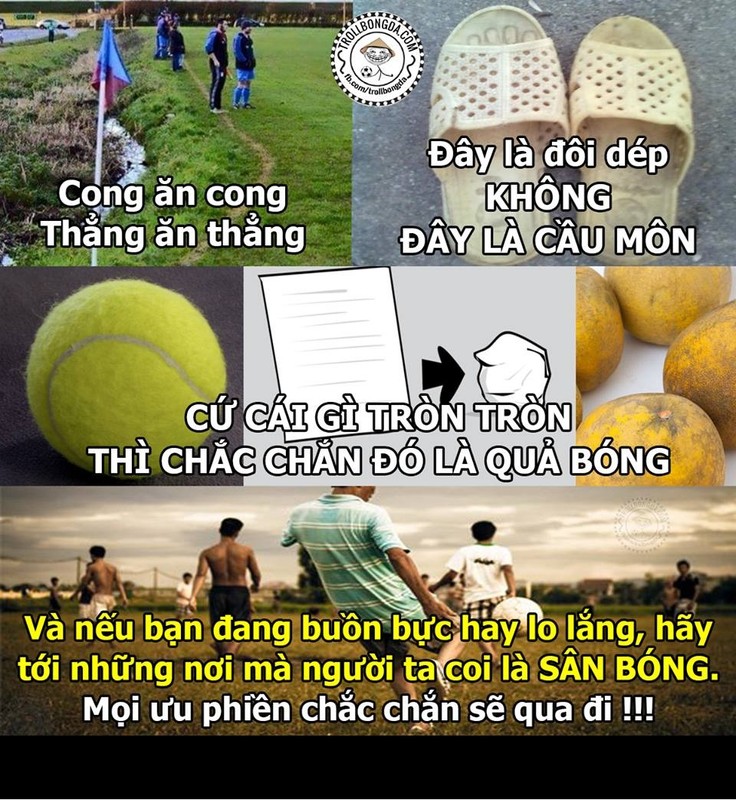 Anh che bong da: Man United pha hoai nganh san xuat thuoc ngu-Hinh-12