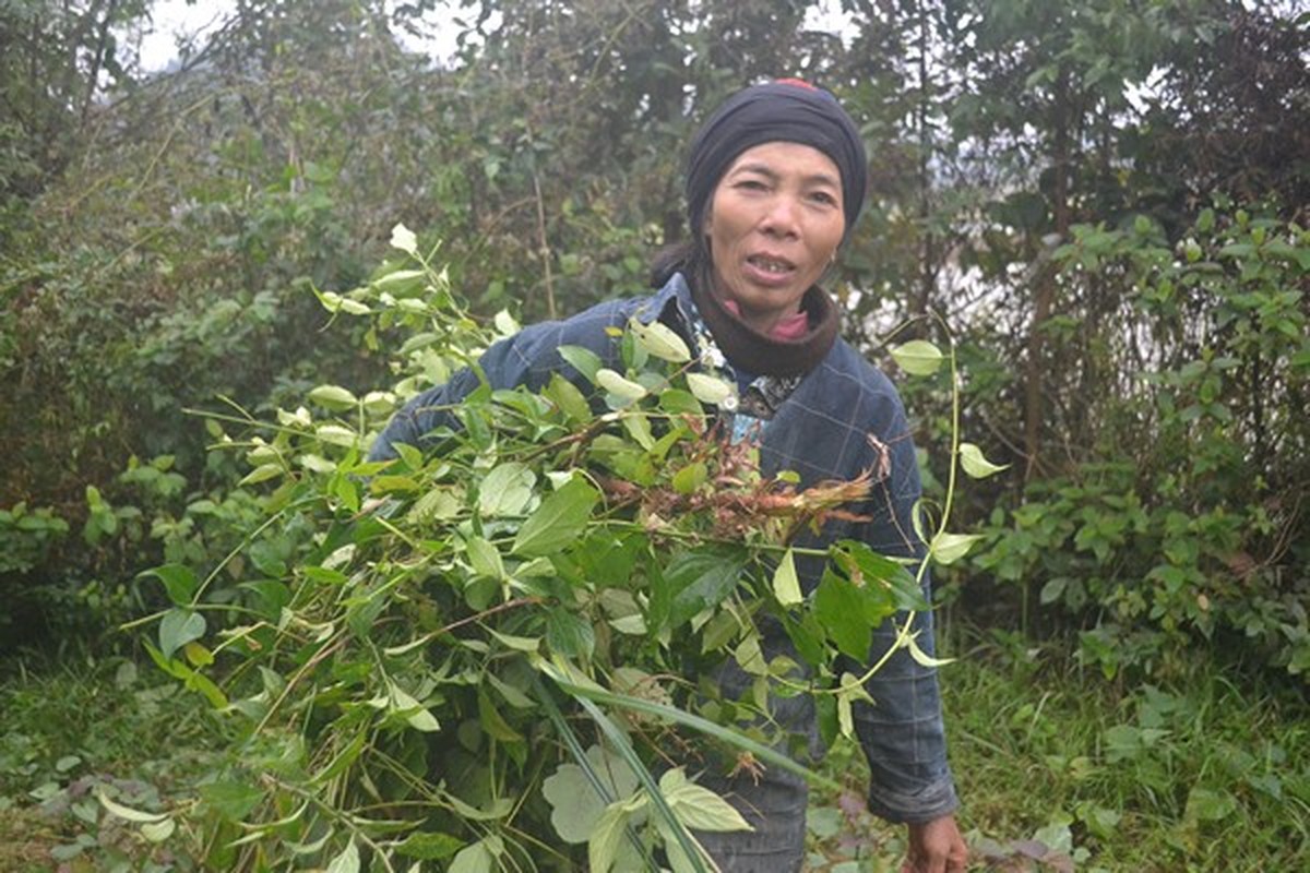 Cuoc song cua 2 chi em nguoi rung giua oc dao hoang vang-Hinh-6