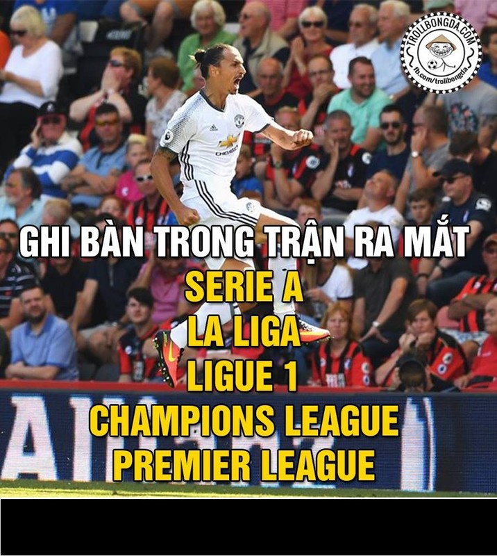 Anh che bong da: Arsenal mat biet danh Phao Thu-Hinh-2