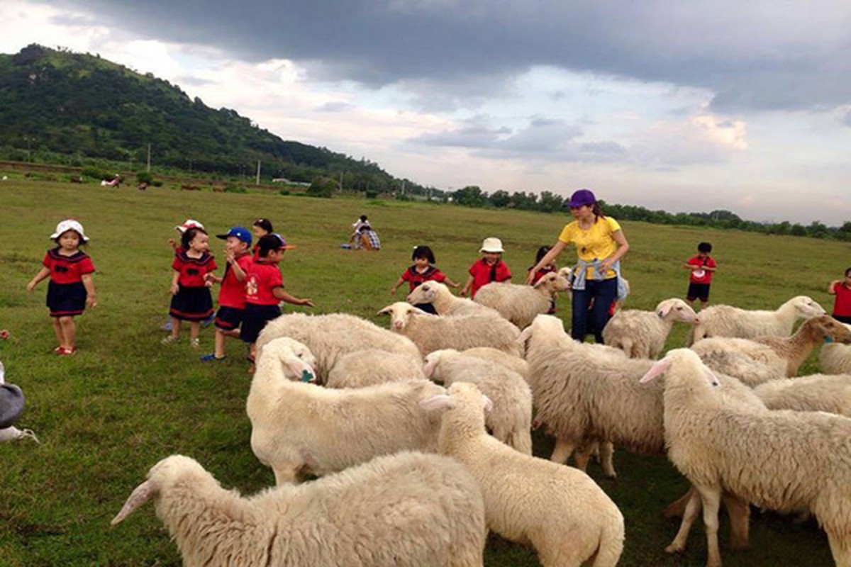 Canh dong cuu moi toanh khien gioi tre Sai thanh hao huc-Hinh-8