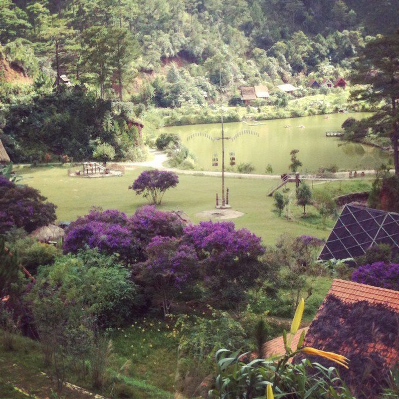 Ngam hoa Po Ra Nhang tim vung troi Da Lat vao thu