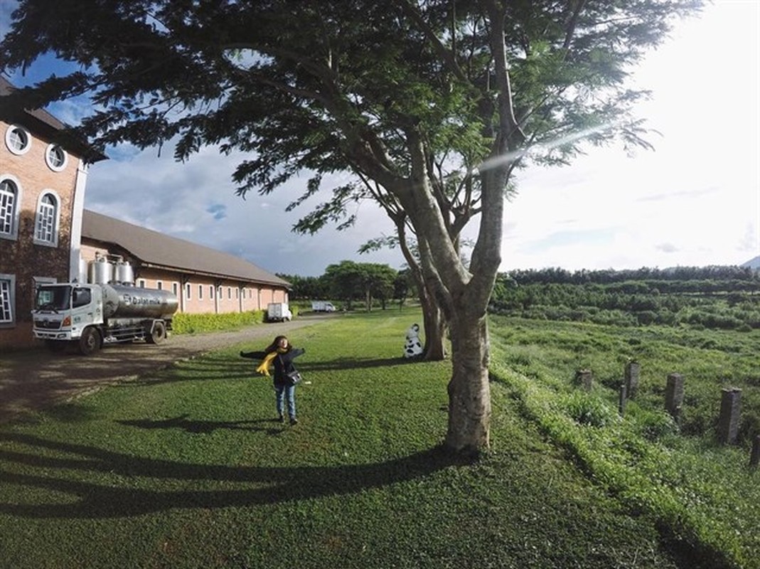 Diem check-in moi cua gioi tre Da Lat dep nhu troi Tay