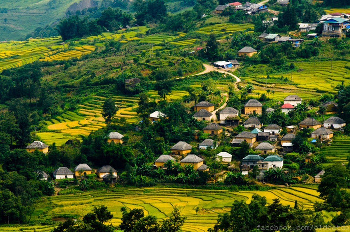 Dan phuot ru nhau len Y Ty ngam mua lua chin-Hinh-3