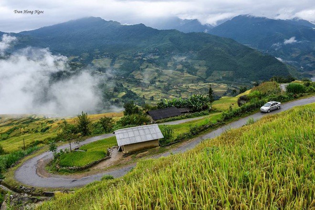 Dan phuot ru nhau len Y Ty ngam mua lua chin-Hinh-4