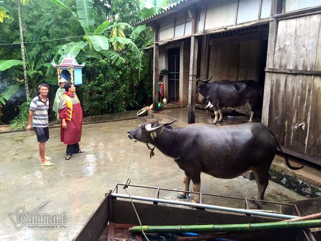 Hang tram ho dan tai Quang Binh lai ngap trong lu-Hinh-7