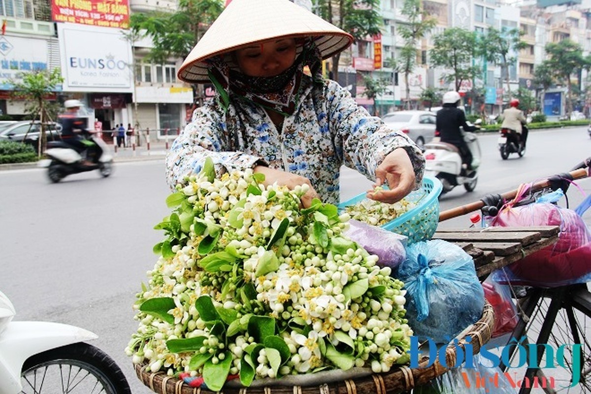 Hoa buoi xuong pho, moi chum hoa dat ngang bat pho-Hinh-13