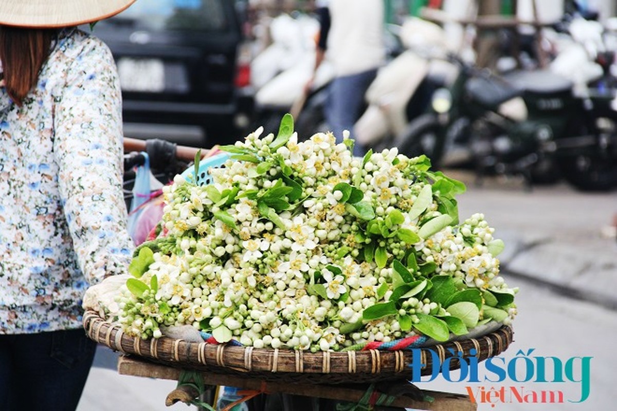 Hoa buoi xuong pho, moi chum hoa dat ngang bat pho-Hinh-14