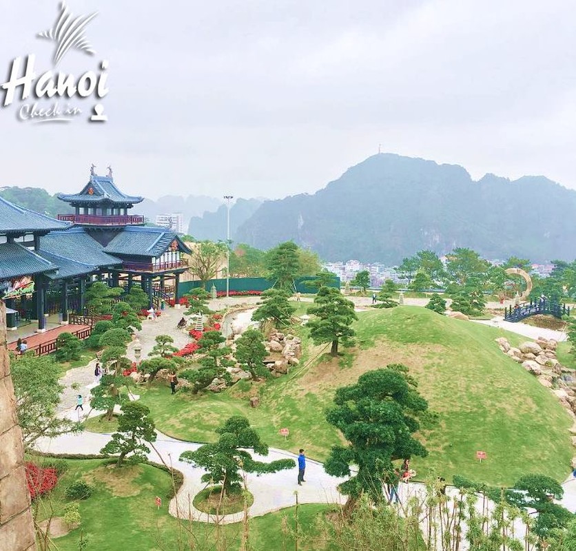 Gioi tre dua nhau check-in Nhat Ban thu nho o Quang Ninh-Hinh-11