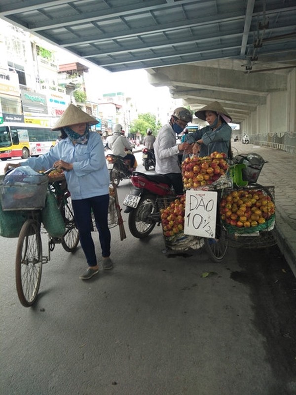 Dan mang lat tay chieu ban hang rong tuong re lai hoa dat-Hinh-5