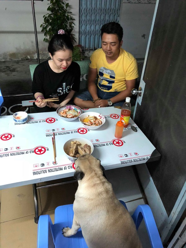 Dan mang choang vang truoc phan an sang chanh cua chu cho 20kg-Hinh-2