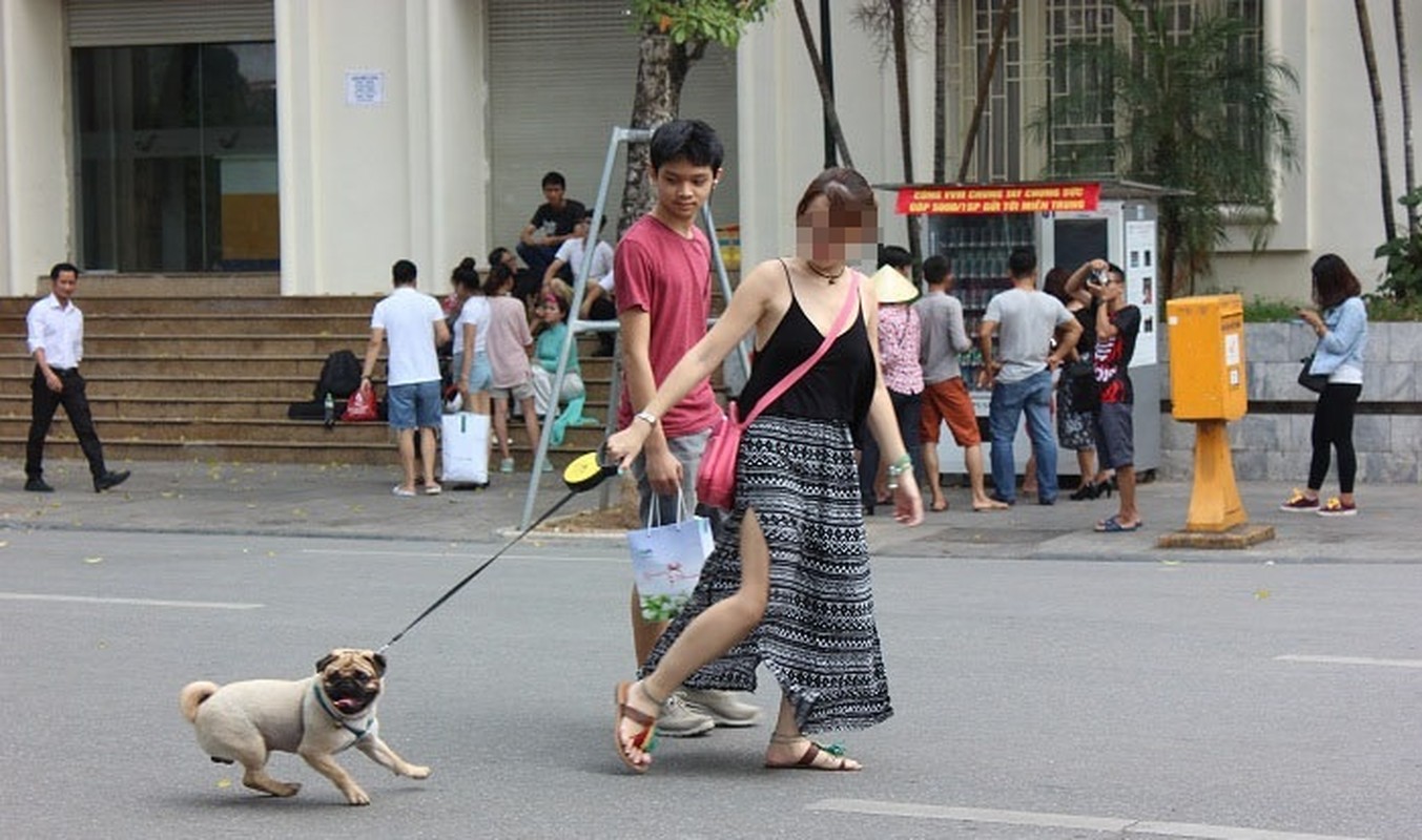 Cam mang cho khong ro mom vao pho di bo ho Guom, dan mang noi gi?-Hinh-10