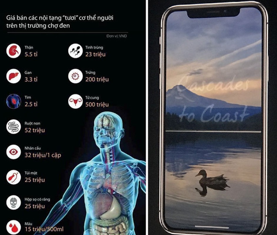 iPhone Xs vua ra mat, dan mang thi nhau ban du moi thu “tau de“-Hinh-5