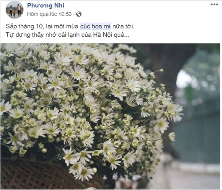 Chua vao mua nhung dan mang ran ran “hen ho” voi cuc hoa mi-Hinh-4