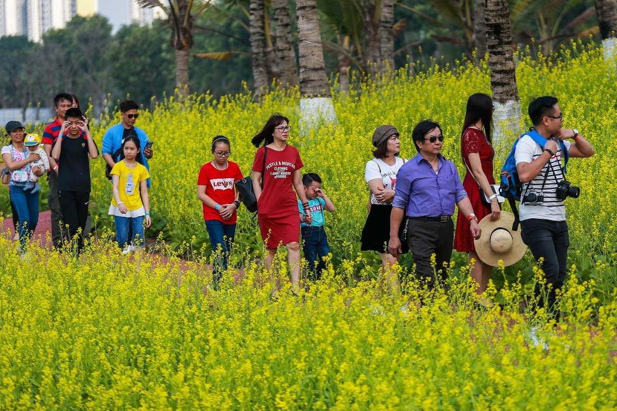 Le hoi hoa xuan Ecopark: Khong hop gia dinh tre nho, gia ca dat 