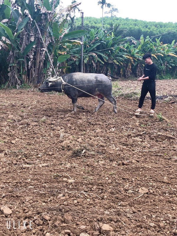 Dan mang dua nhau khoe anh di lam dong sau Tet: May ai song that?-Hinh-8