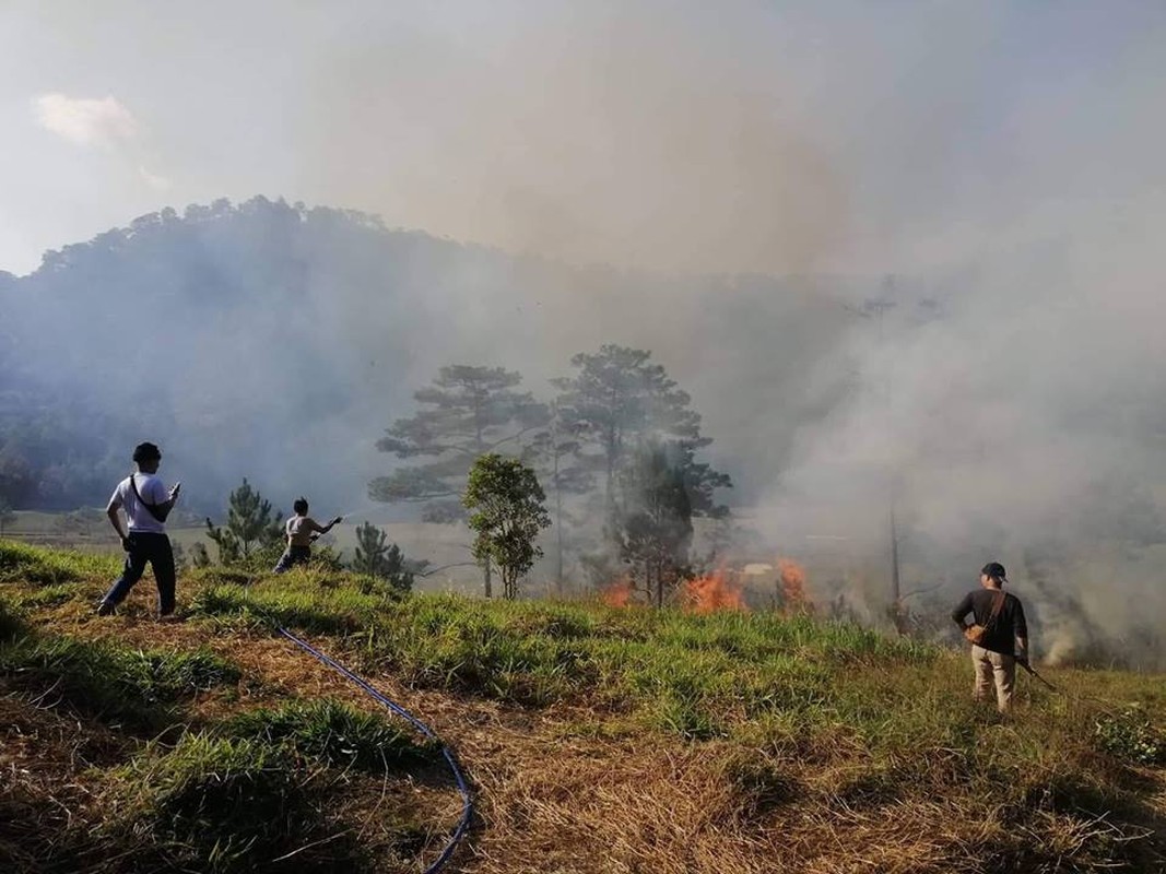 Homestay noi tieng Da Lat chay lon, du khach bo chay tan loan-Hinh-4