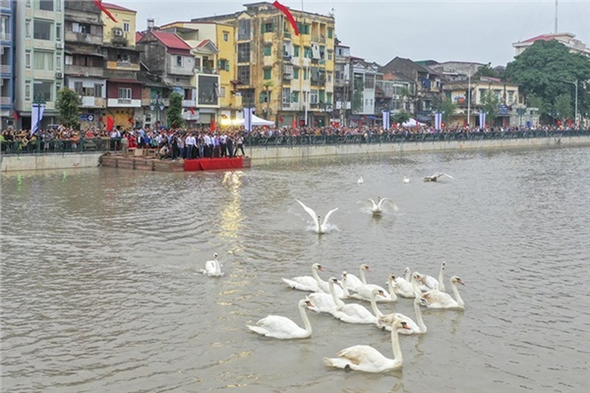 Nguoi phu nu than nhien nem banh mi que cho thien nga Hai Phong an 