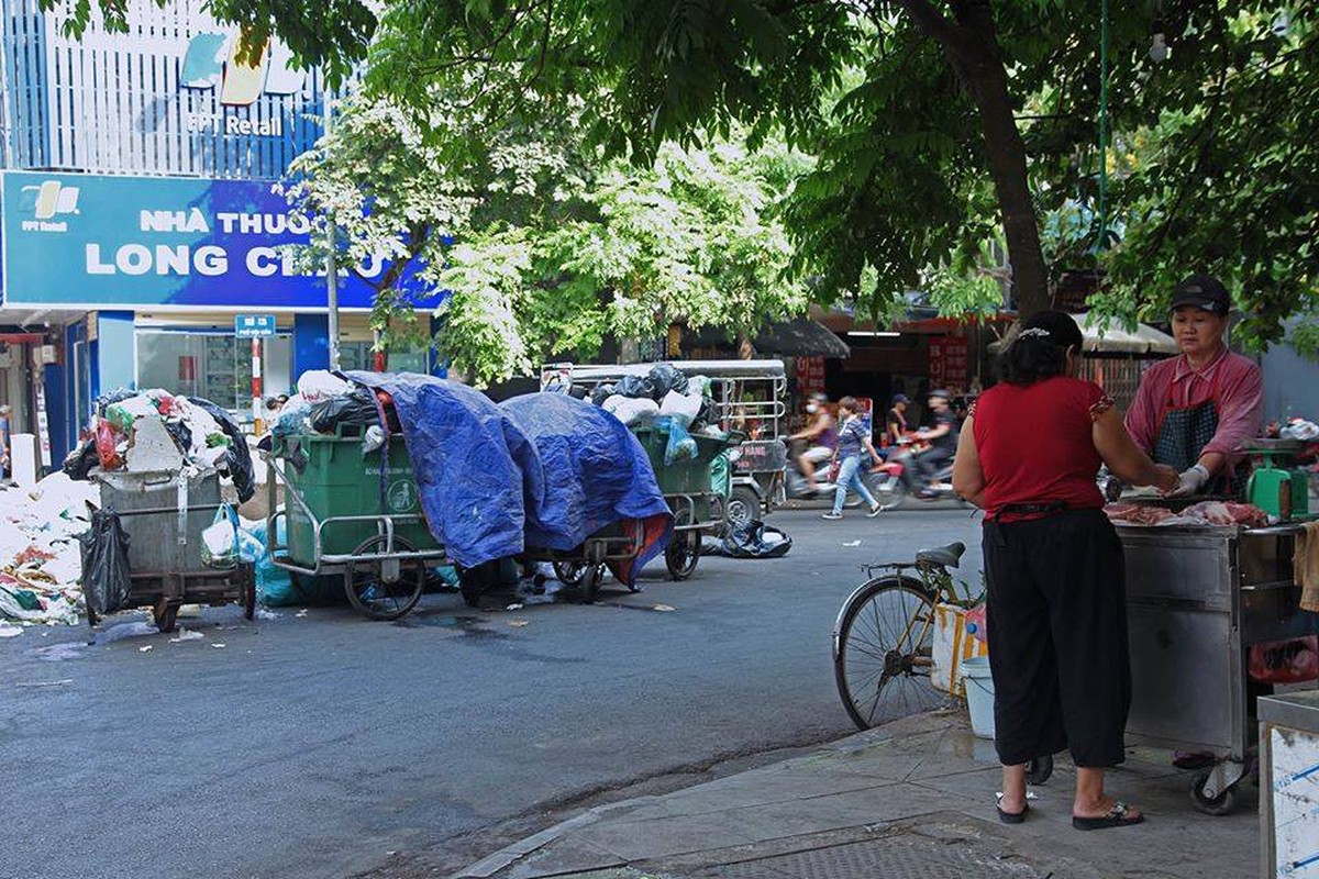 Dan mang xot xa canh tung con ngo, tung goc pho Ha Noi ngap rac-Hinh-9