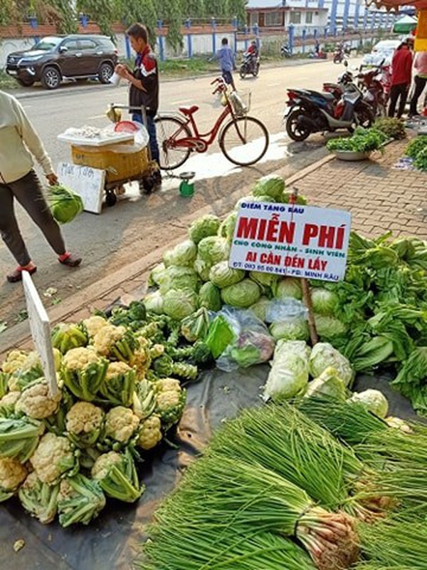 Y thuc chong dich cao, chu sap rau bong 