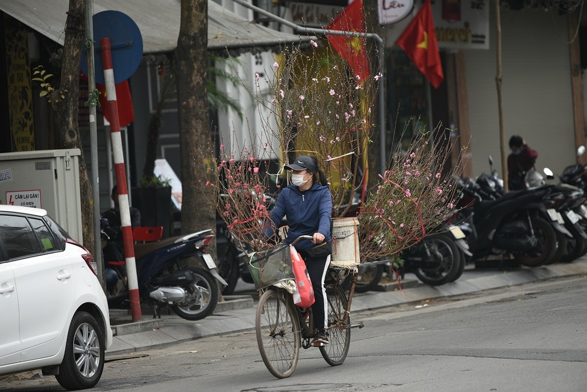 Cho hoa canh ngay giap Tet: Gia ca the nao.... chu buon ngam ngui?-Hinh-12