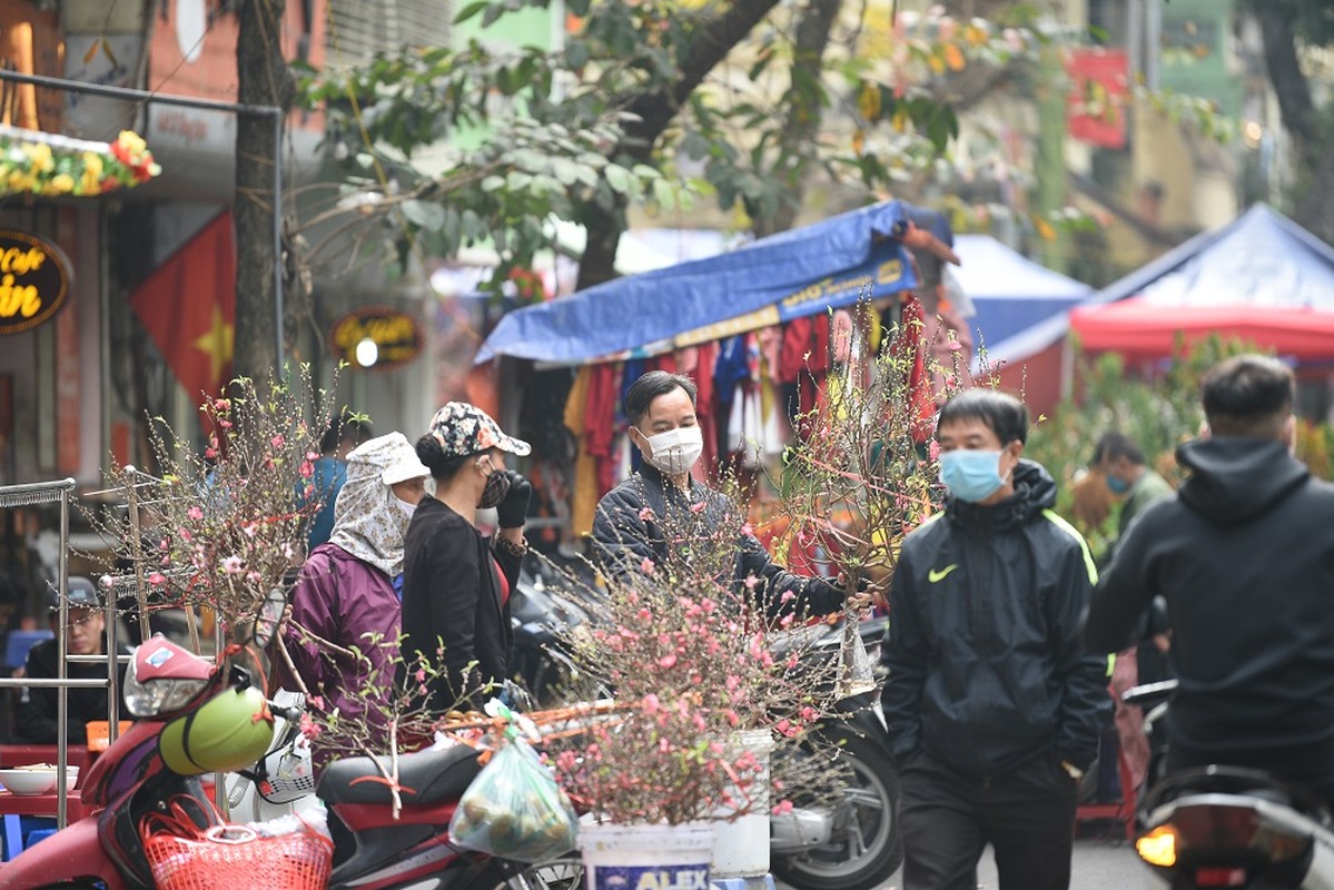 Cho hoa canh ngay giap Tet: Gia ca the nao.... chu buon ngam ngui?-Hinh-7