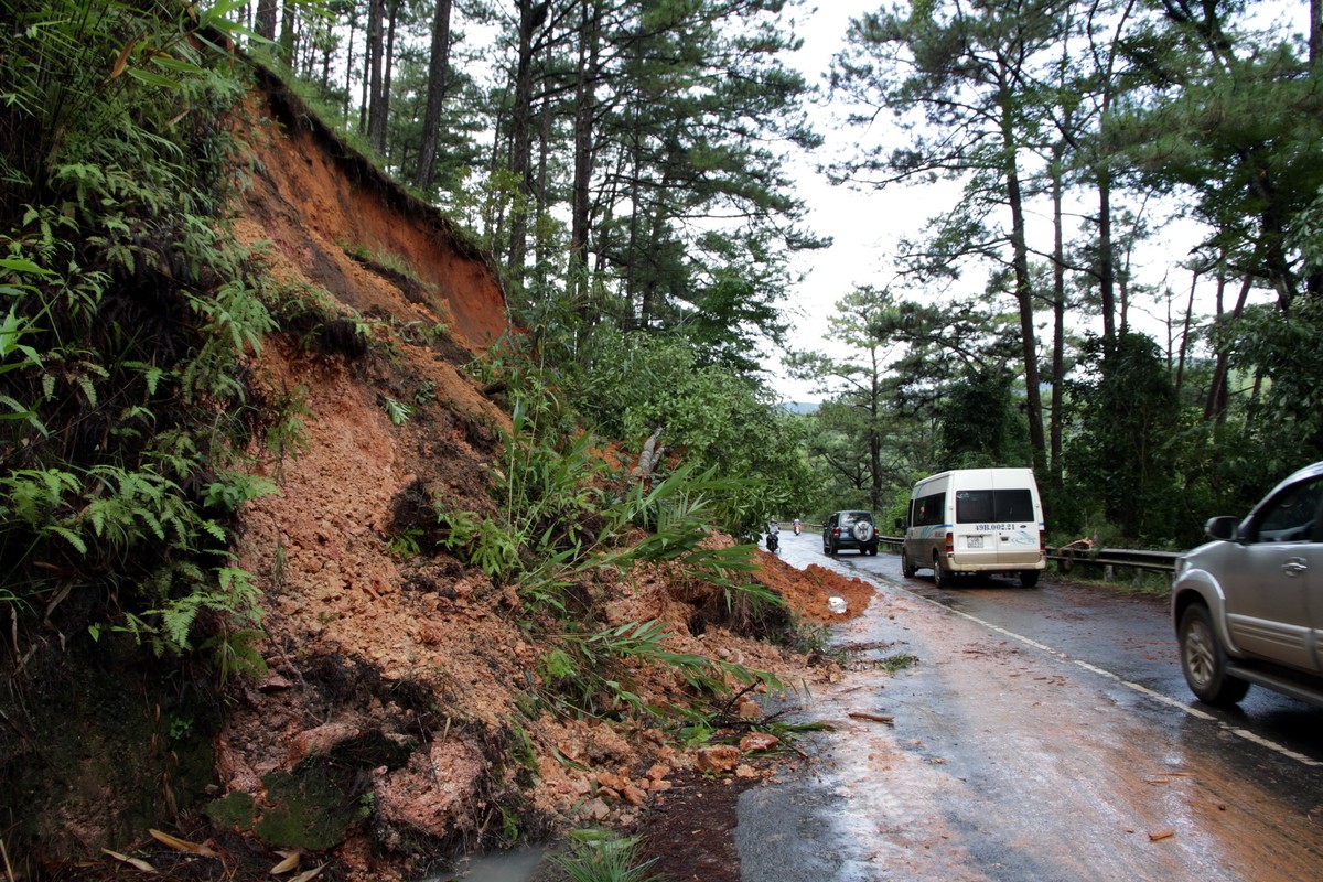 Da Lat tan hoang sau tran mua, netizen nhin ma xot xa-Hinh-10