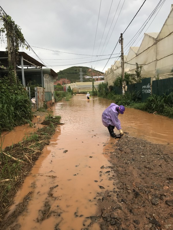 Da Lat tan hoang sau tran mua, netizen nhin ma xot xa-Hinh-12