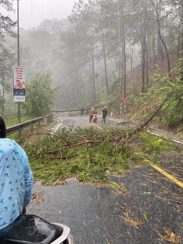 Da Lat tan hoang sau tran mua, netizen nhin ma xot xa-Hinh-7