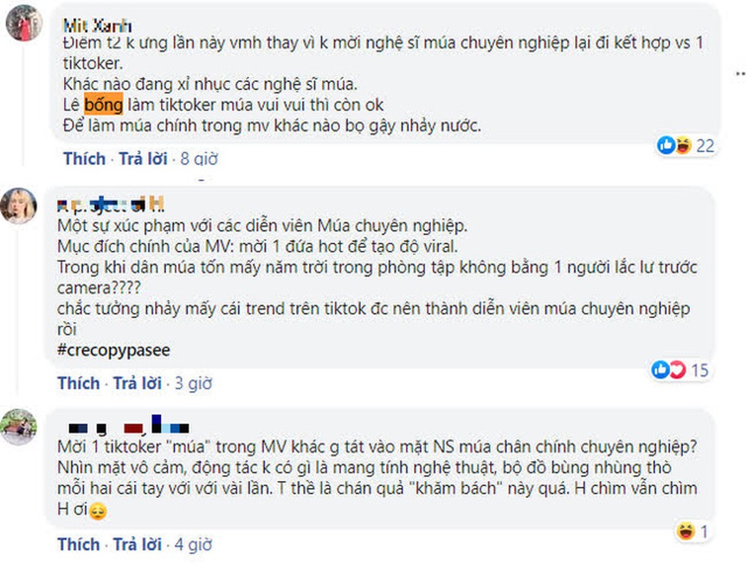 Bi che xuc pham nghe thuat, Le Bong dap tra netizen bang giai thuong-Hinh-6