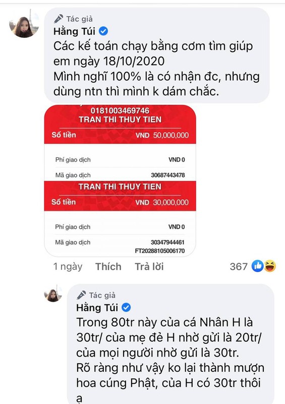 Vo chong Cong Vinh sao ke tien tu thien, Hang Tui bong gop vui-Hinh-4