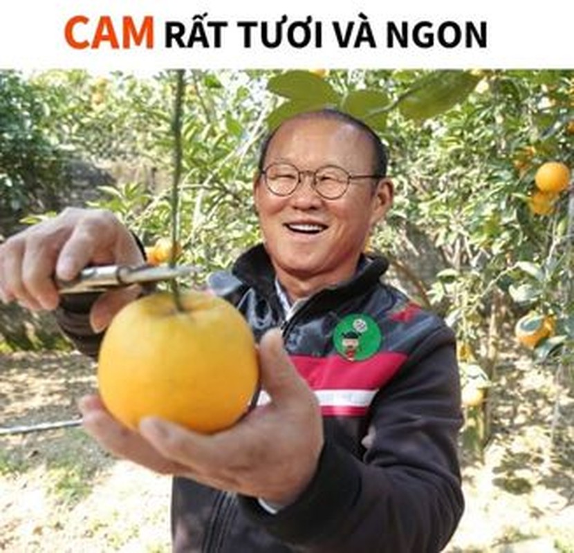 Anh che bong da: Doi tuyen Viet Nam an ngon trai cam-Hinh-9