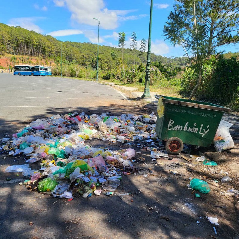 Khach du lich Da Lat vo y thuc, netizen xot xa cho canh vat