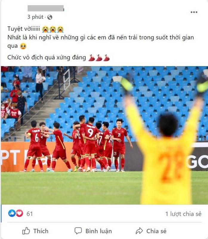 Anh che bong da: U23 Viet Nam vo dich nhung van thieu 1 dieu-Hinh-3