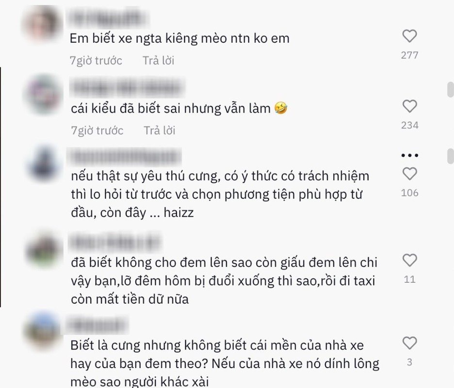 Co gai bi duoi xuong giua duong vi mang meo len xe khach-Hinh-5