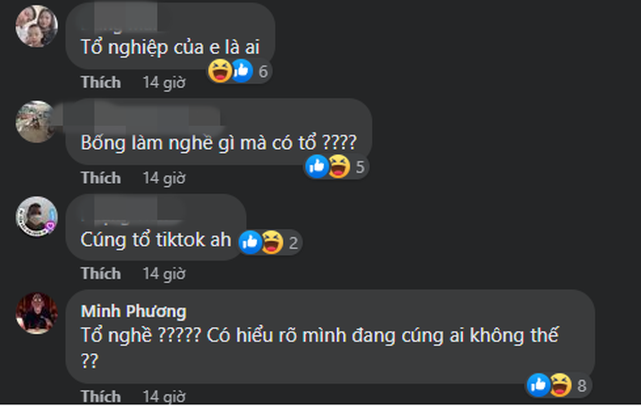 Le Bong cung To nghe san khau, netizen vao ca khia gi?-Hinh-3