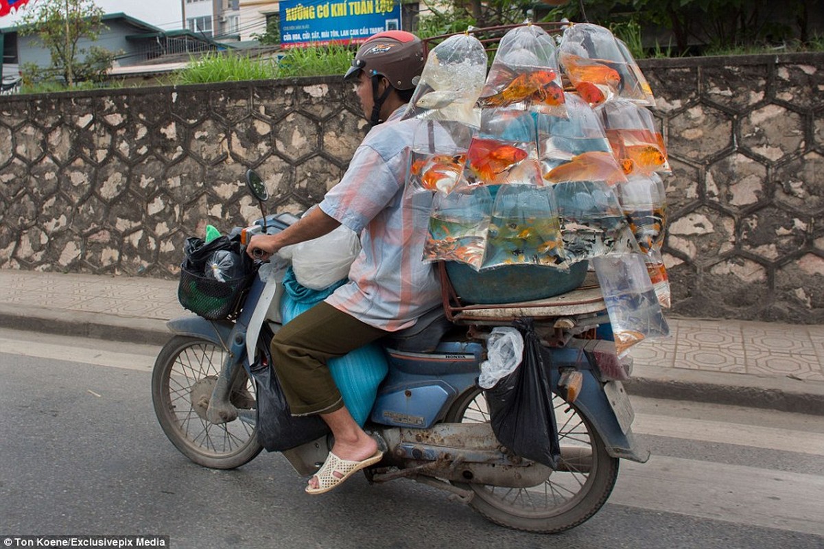 TikToker nuoc ngoai nham tui ban ca la do uong duong pho Viet Nam-Hinh-8