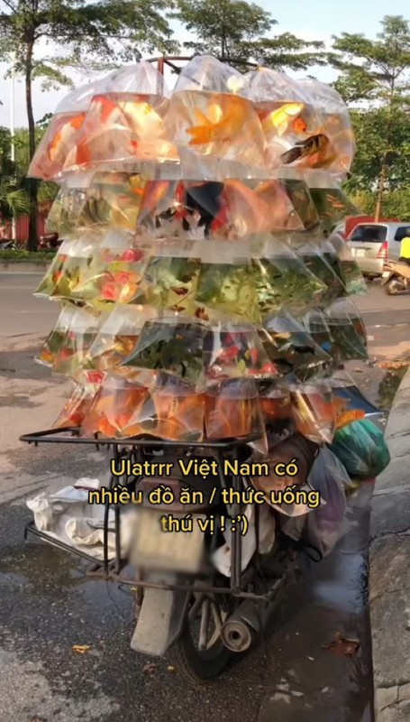 TikToker nuoc ngoai nham tui ban ca la do uong duong pho Viet Nam
