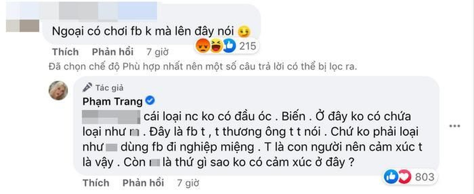 Bi mia mai dang anh nguoi than qua doi, Xoai Non noi gi?-Hinh-3