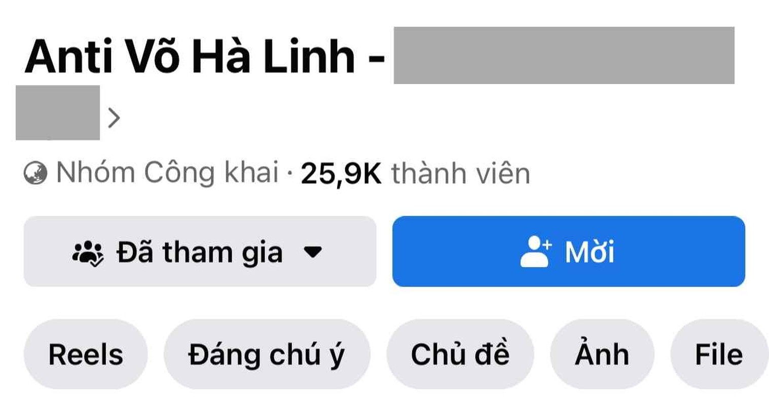Xuat hien nhom antifan Vo Ha Linh, 1 ngay hang nghin nguoi follow-Hinh-3